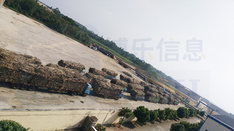 地磅稱重管理系統(tǒng)實(shí)現(xiàn)制糖行業(yè)蔗戶管理/農(nóng)務(wù)管理