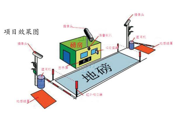 企業磅房用得到的地磅管理軟件
