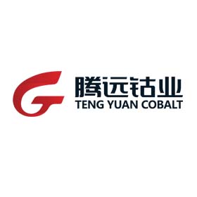 贛州騰遠鈷業 贛州騰遠鈷業